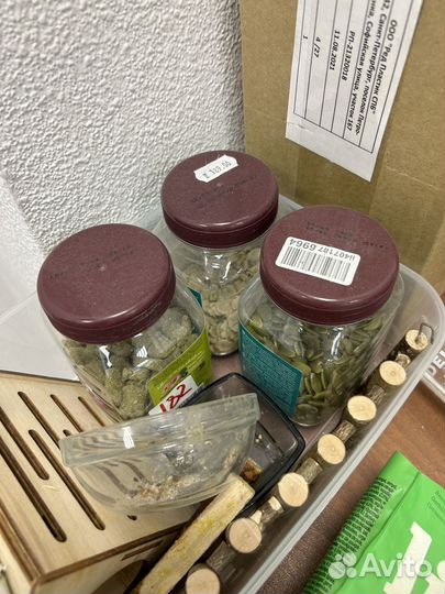 Клетка для грызунов, корм, домик, набор