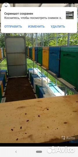 Прицеп пчеловоз, 2018