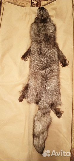 Шкурка песца черного