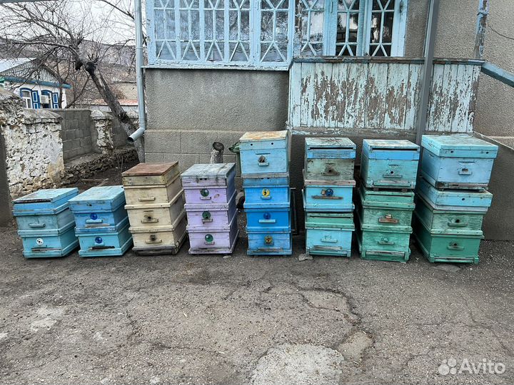 Улей для пчел бу