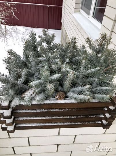 Кашпо для цветов