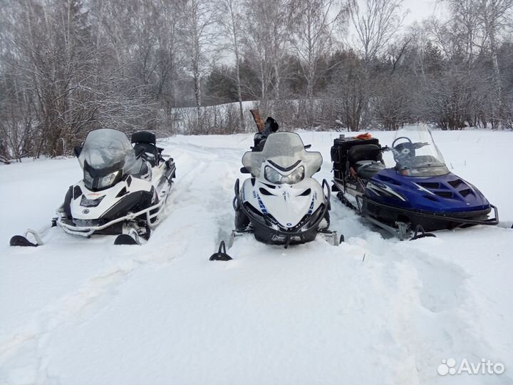 BRP Lynx 69 Ranger Alpine