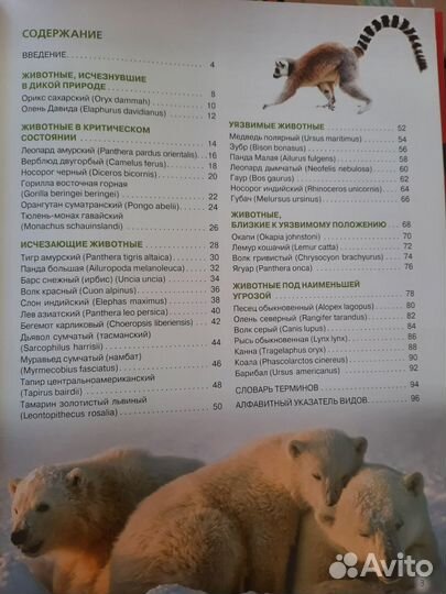 Энциклопедия Красная книга живонтых мира