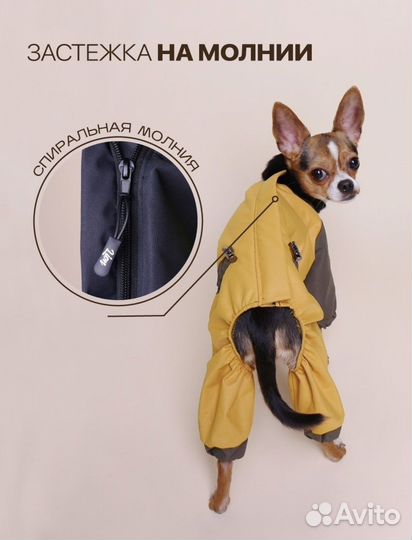 Дождевик для собак мелких пород