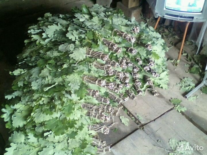 Веники дубовые