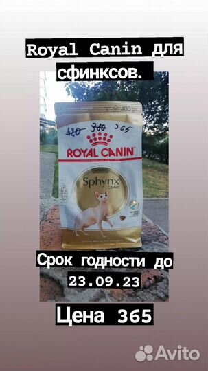 Корм для собак и кошек