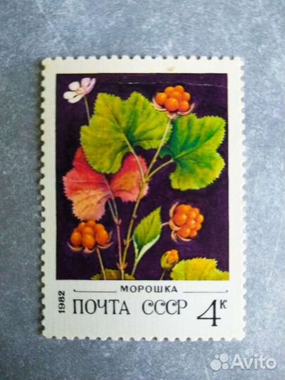 Марка 4к 1982 год СССР Морошка