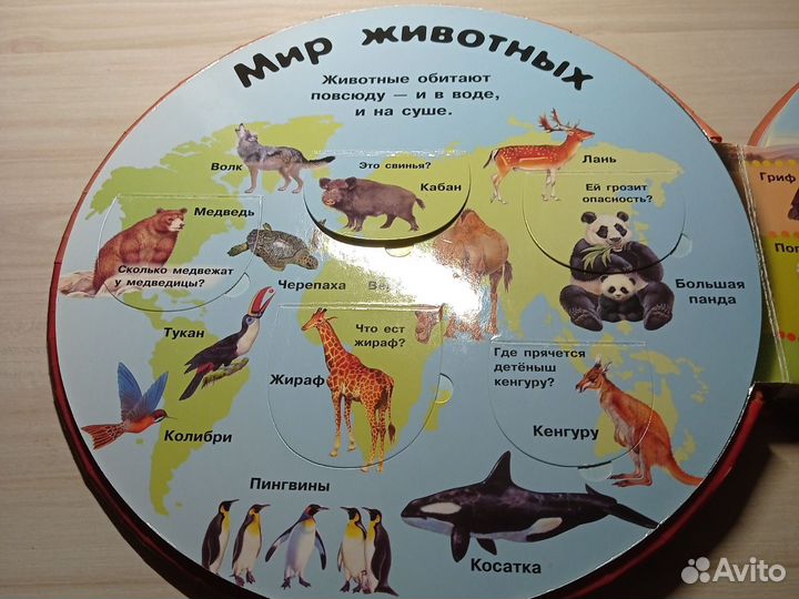 Книга про животных развивающая