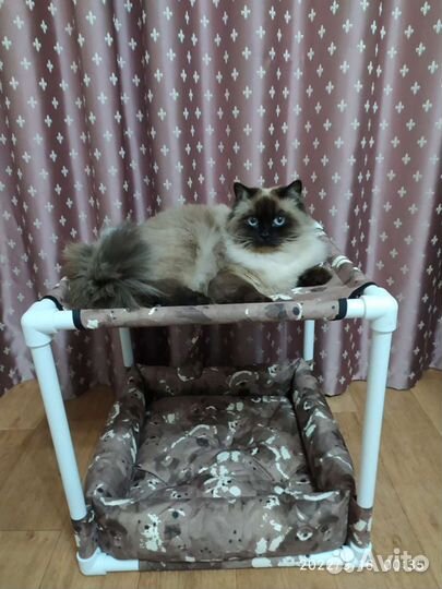 Гамак-лежанка для котиков