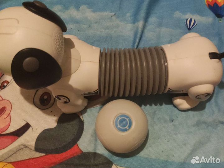 Игрушечная собака