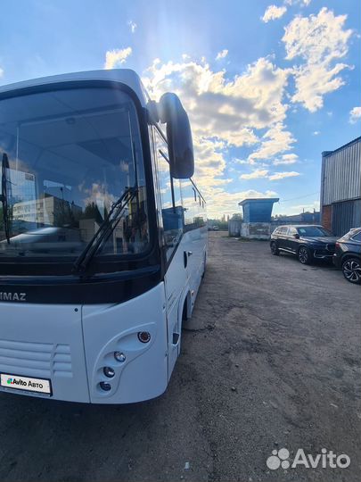 Междугородний / Пригородный автобус SIMAZ 2258-526, 2020