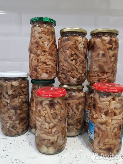 Грибы опята маринованные