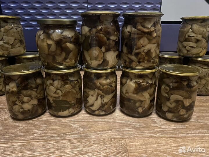 Грибы валуи грузди 2023