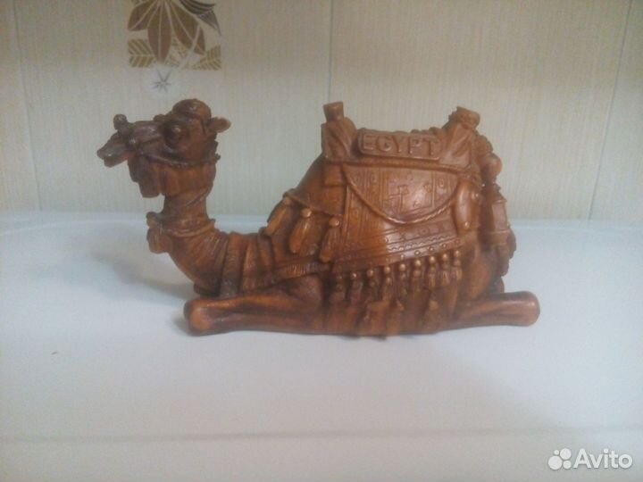 Верблюд,Египет