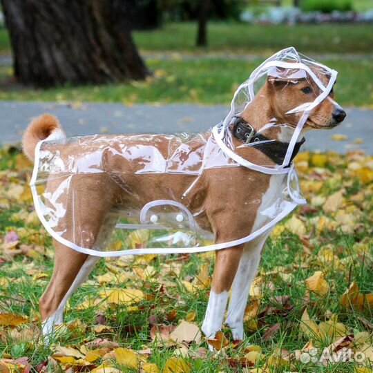 Дождевик для собаки