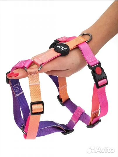 Поводок рулетка flexi xs лента 3м