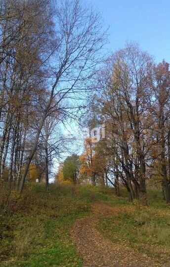 Участок 14 сот. (СНТ, ДНП)