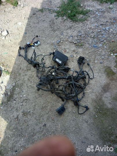 Hyundai Solaris проводка подкапотная