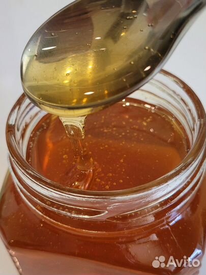 Мед Каштан,черноклен и боярышник