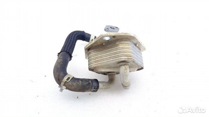 Радиатор масляный Toyota Rav4 50 M20afks 2021