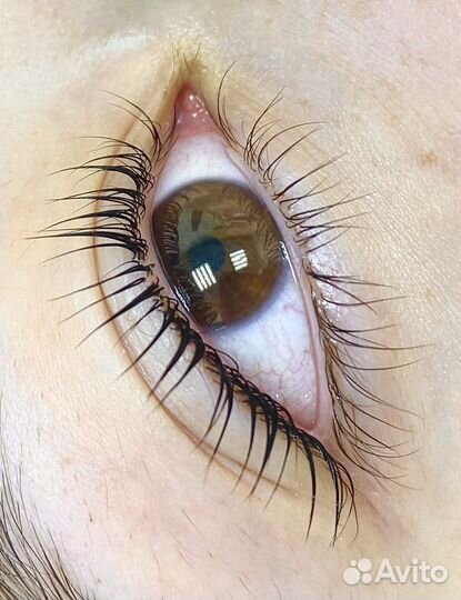 Ламинирование ресниц и ботокс