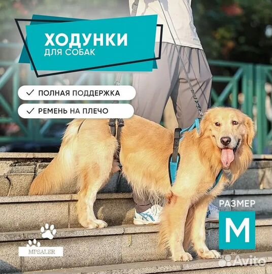 Полная поддержка для собак