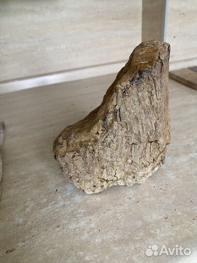 Коряга,камень