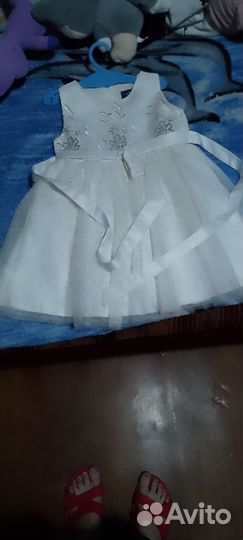 Отдам бесплатно