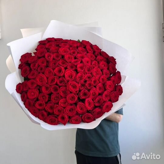 101 роза цветы букеты доставка 25 51 101 роза