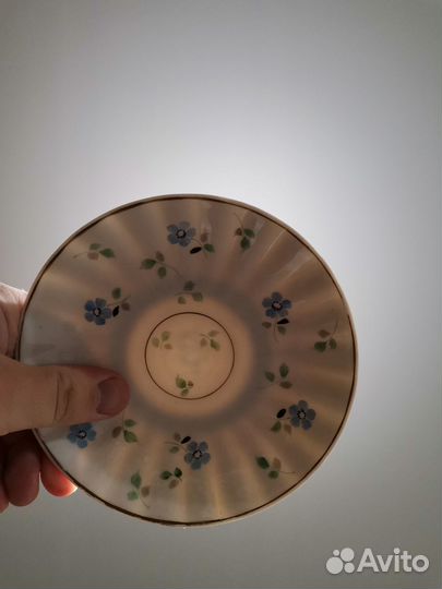 Чайная Пара 50тые Незабудки Фарфор костяной