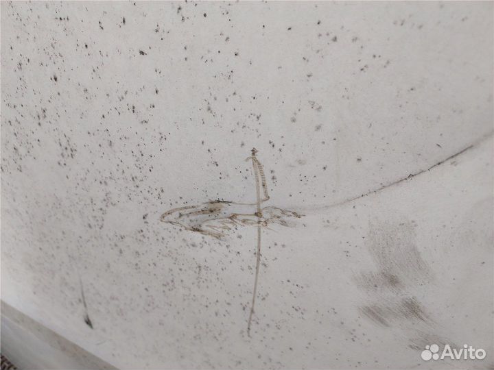 Капот Ford Explorer, 2003