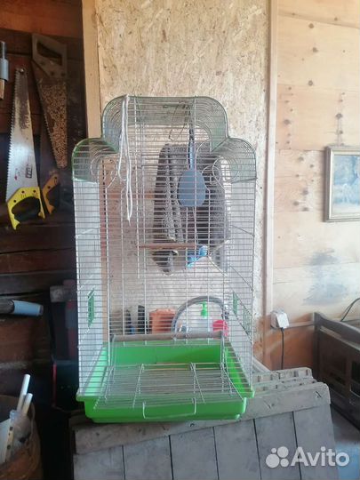 Клетка для попугая