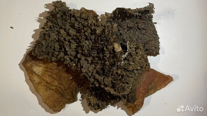 Лакомства для собак