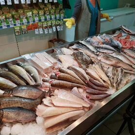 Магазин рыбы и морепродуктов с оборудованием