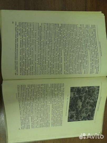 Раритетная книга