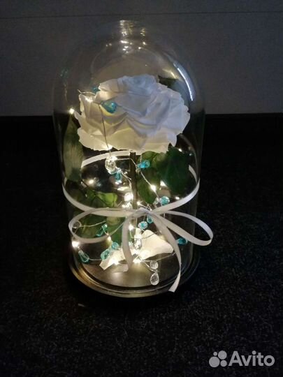 Вечная роза в колбе