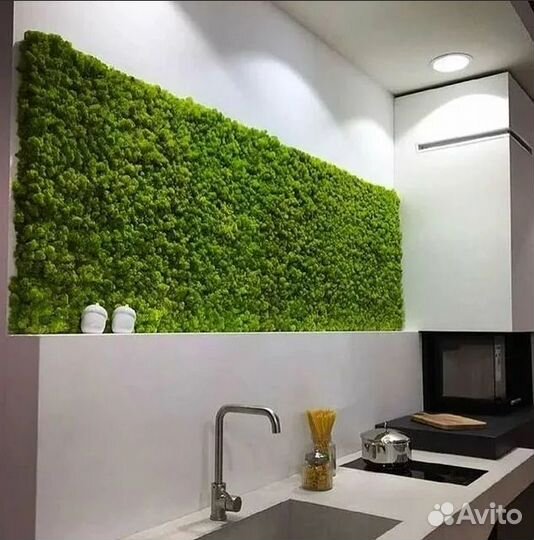 Панно из мха на кухню