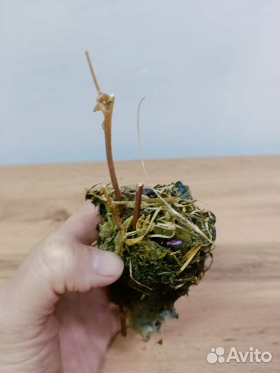 Свеча земляная с солнцестояния