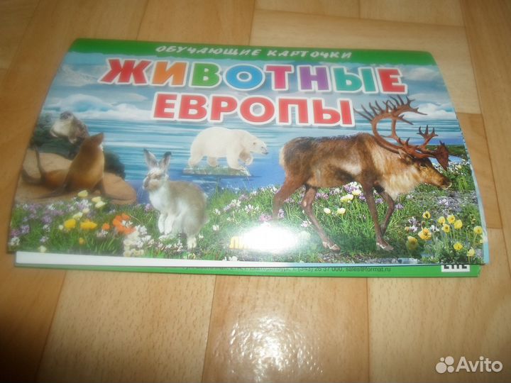 Карточки новые