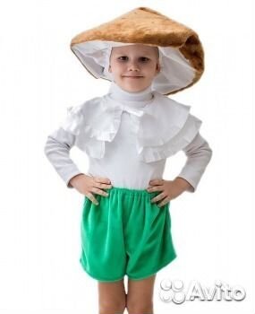 Детский костюм гриб-боровик, боровичок