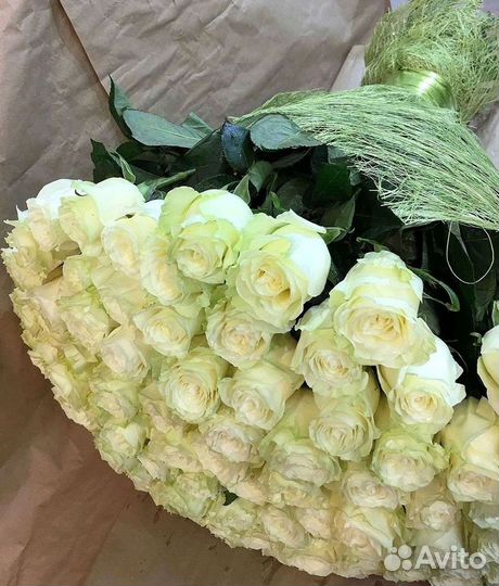 Высокие розы Гигантские розы Доставка цветов