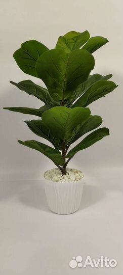 Фикус искусственный в ассортименте
