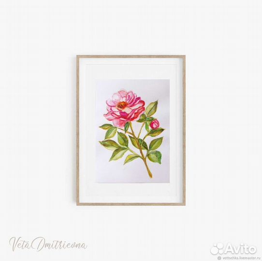 Ботаническая акварель цветущий бутон акварель