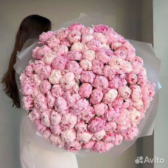 Пионы букеты из пионов Розы Гипсофила Лилии