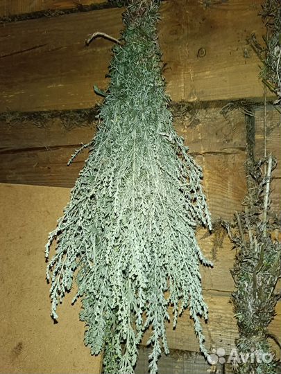 Веники для бани