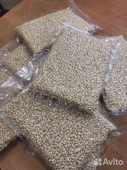 Ядро кедрового ореха