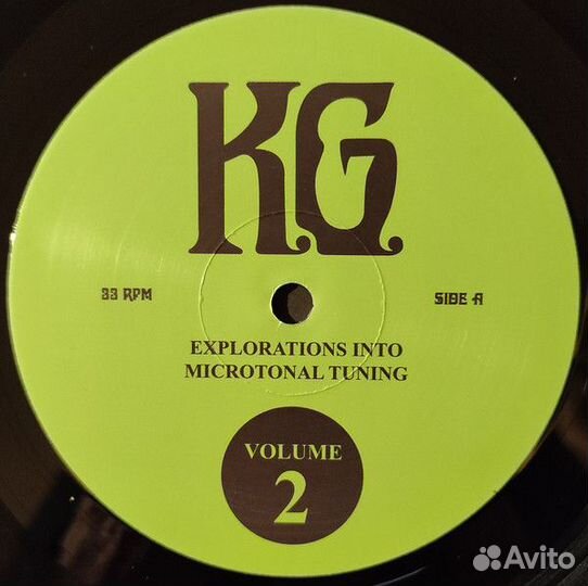 Виниловая пластинка King Gizzard & The Lizard Wiza