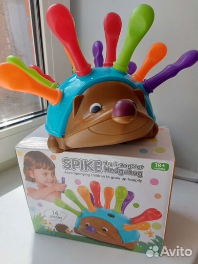 Сортер ежик