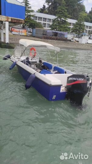 Морская рыбалка в сочи