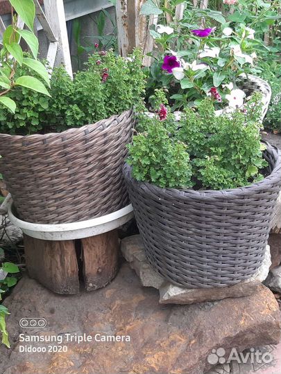 Вазоны для цветов на 15 литров